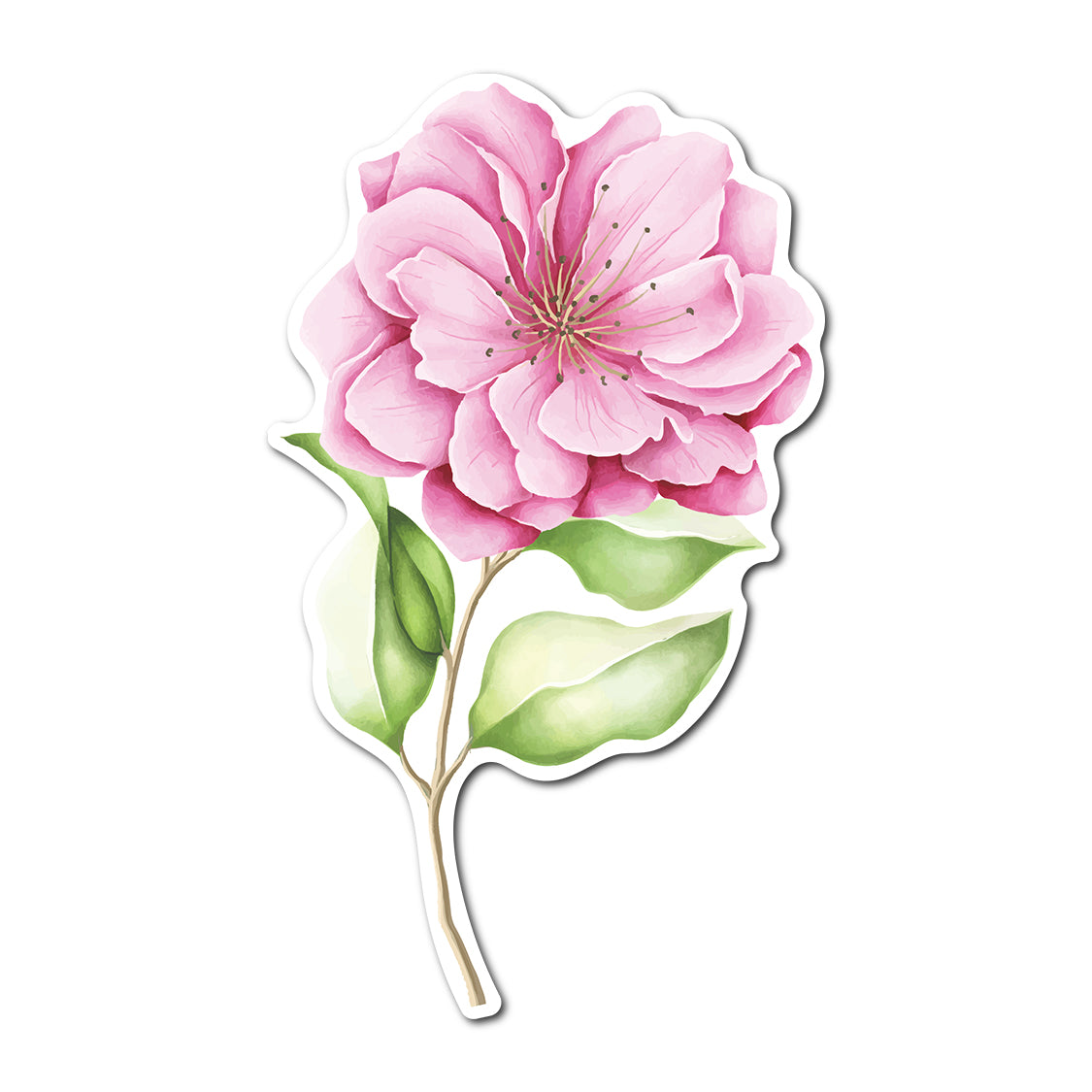 Free Watercolor Floral Place Card Accent PNG | Print-and-Cut Wedding Template - Design 22
