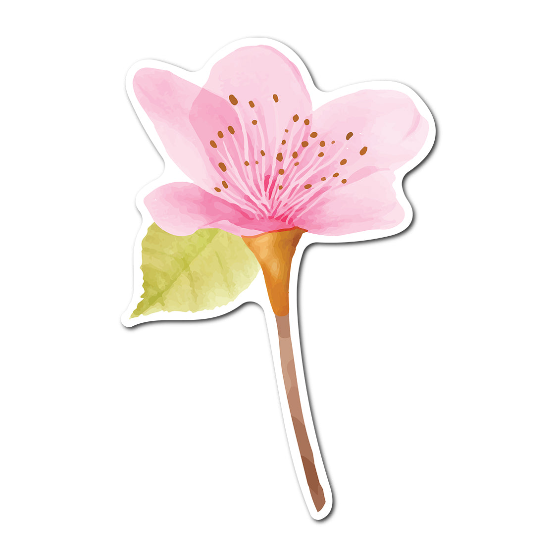 Free Watercolor Floral Place Card Accent PNG | Print-and-Cut Wedding Template - Design 35