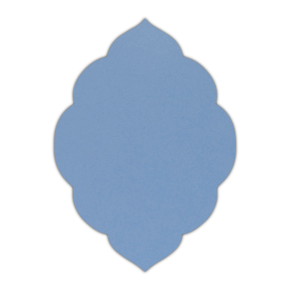 CMYK Print on Shimmer Vista Cardstock | Shape P32 | 5.5" x 8.5"