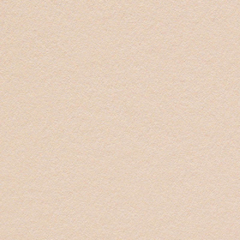 Biscuit Cardstock