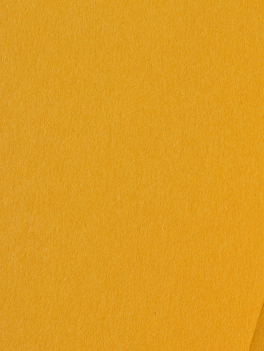 Citrine Cardstock