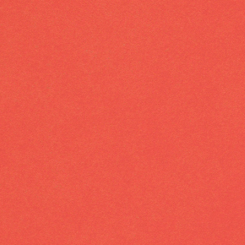 Coral Cardstock