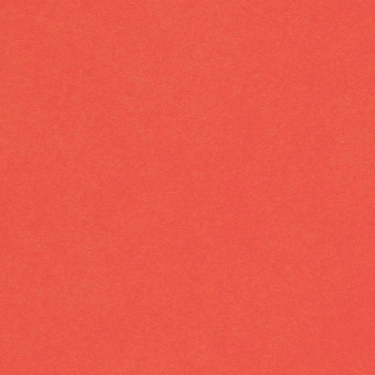 Coral Cardstock