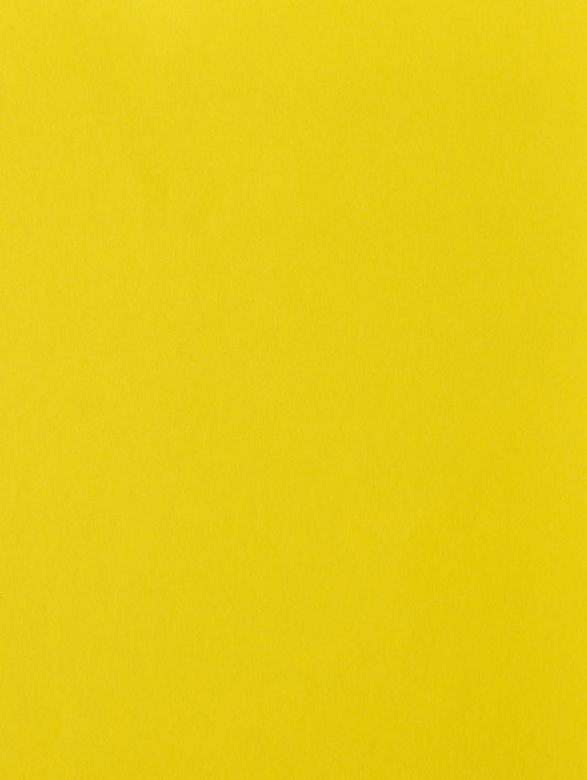 Factory Yellow Cardstock