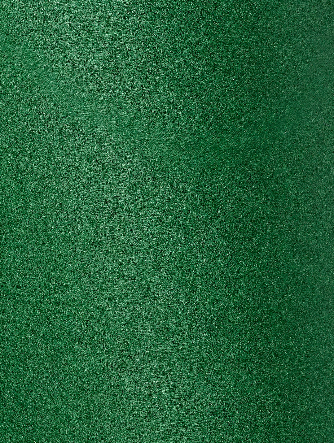 Forest Cardstock