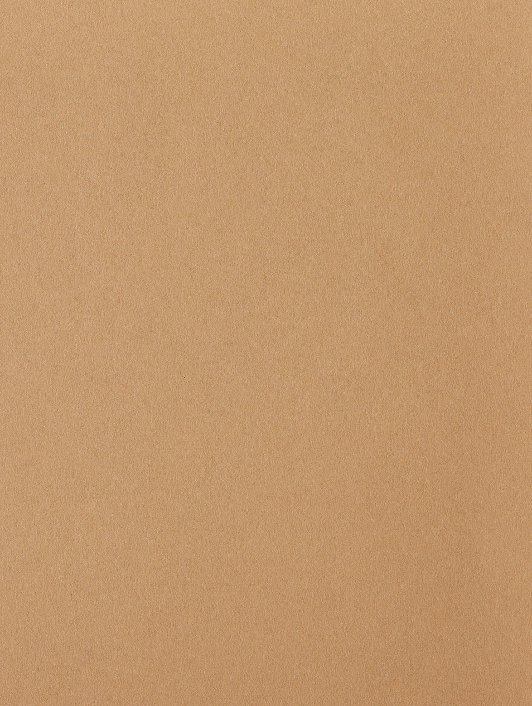 Harvest Cardstock