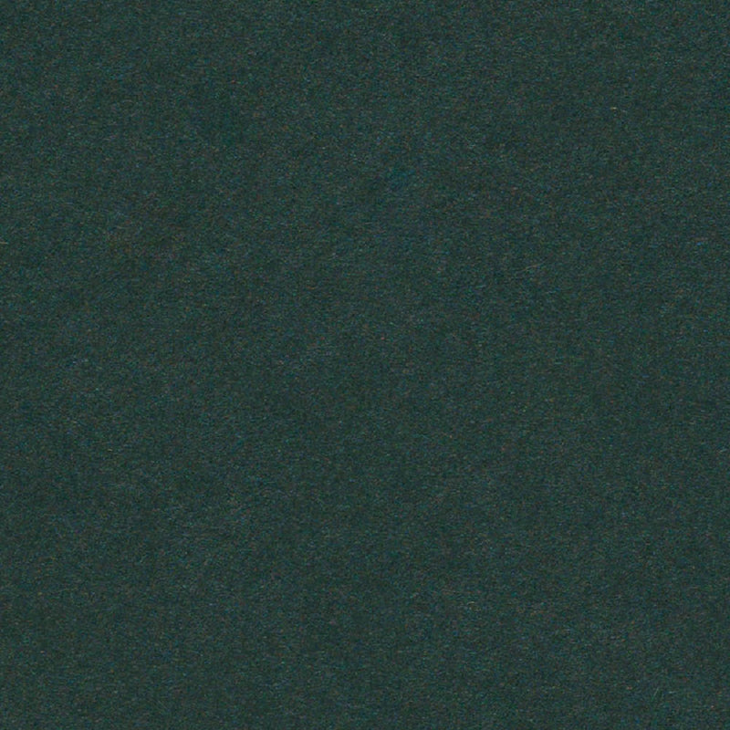 Holly Cardstock