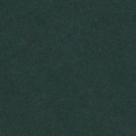Holly Cardstock