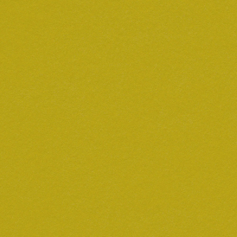 Kiwi Cardstock