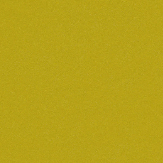 Kiwi Cardstock