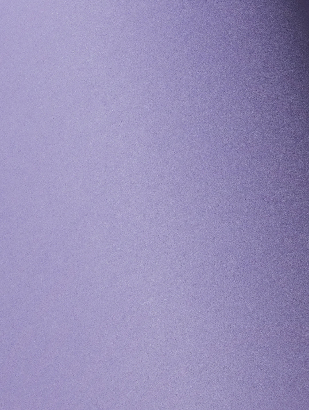Lavender Cardstock
