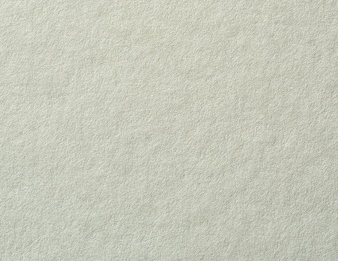 Light Moss Cardstock