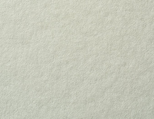 Light Moss Cardstock