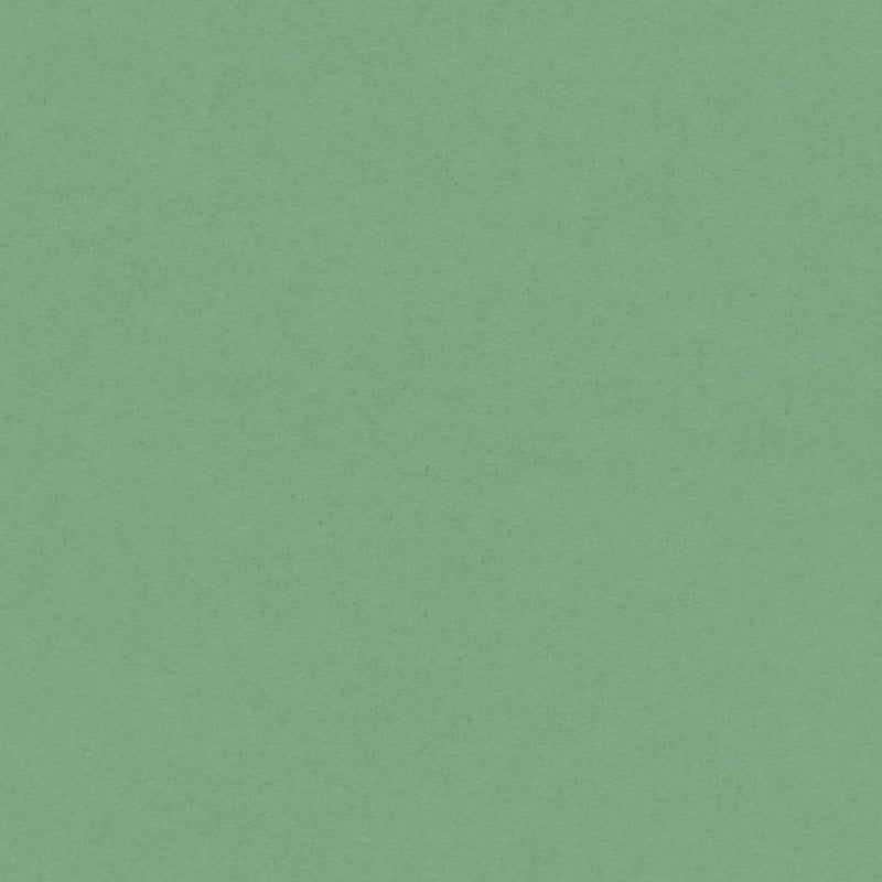 Matcha Tea Cardstock