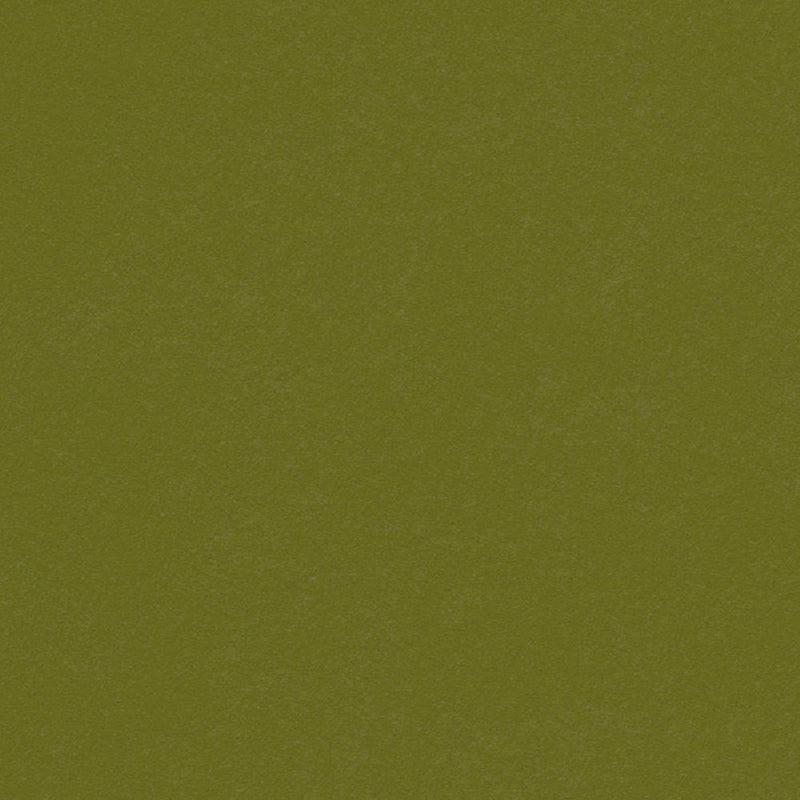 Meadow Cardstock