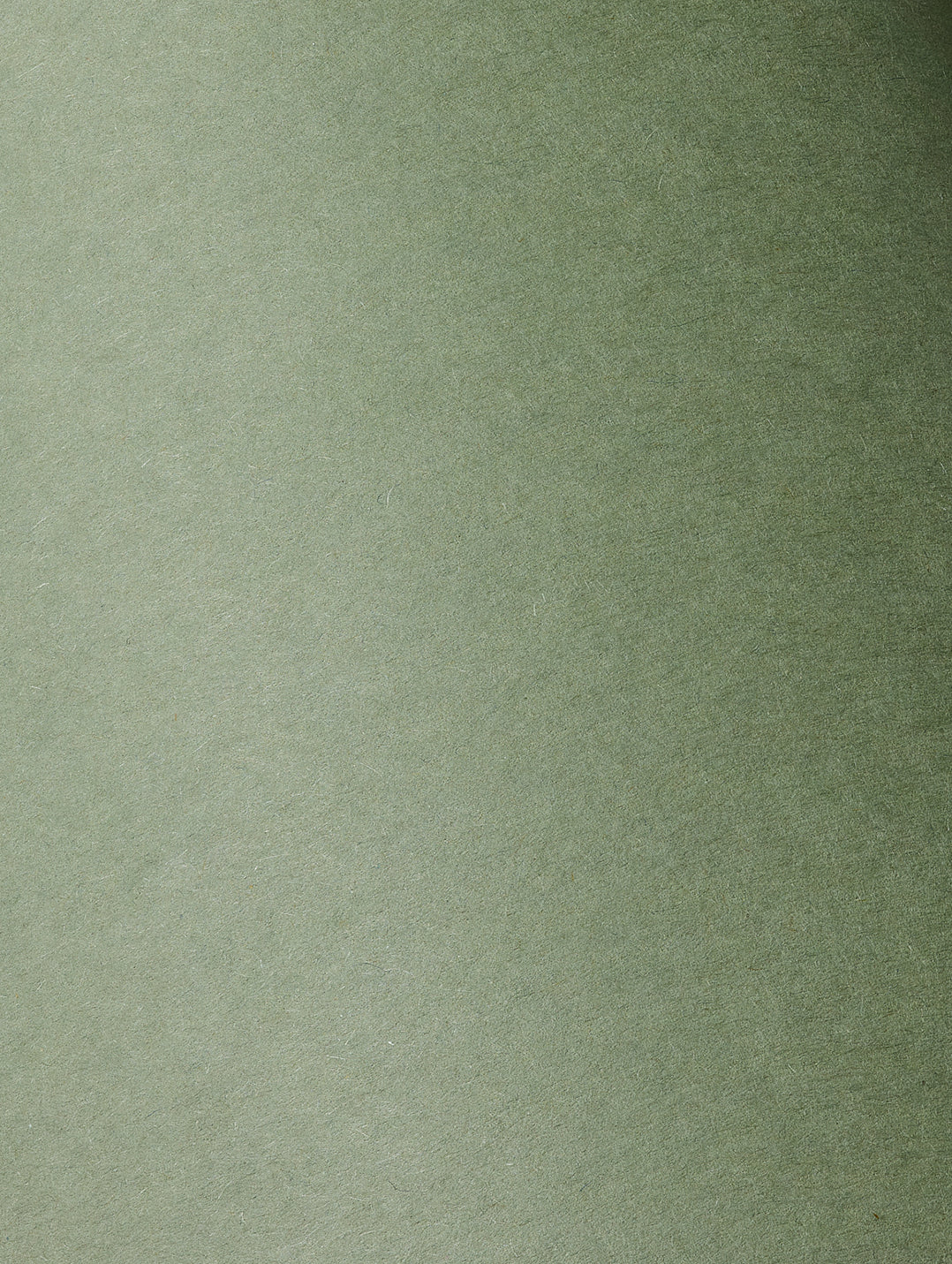 Mid Green Cardstock