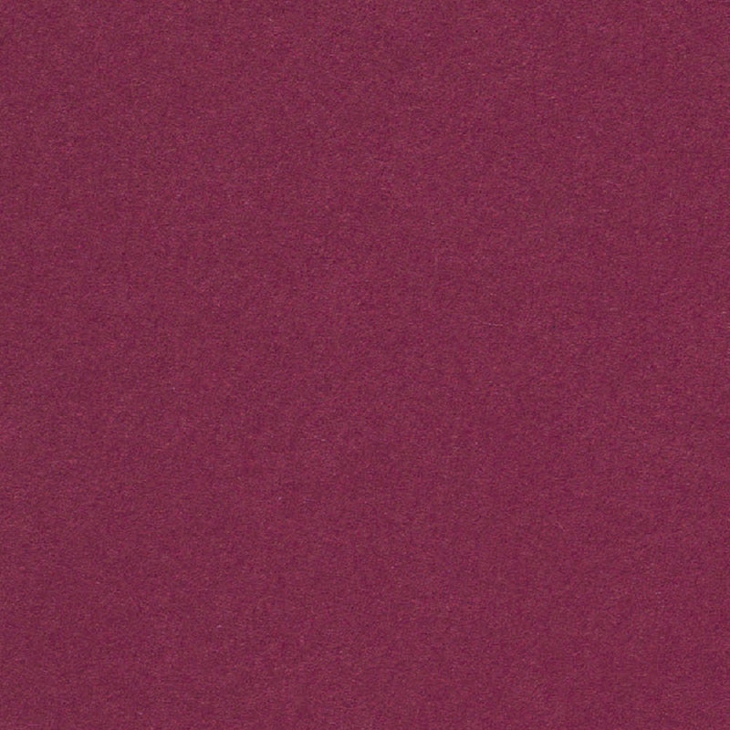Orchid Cardstock