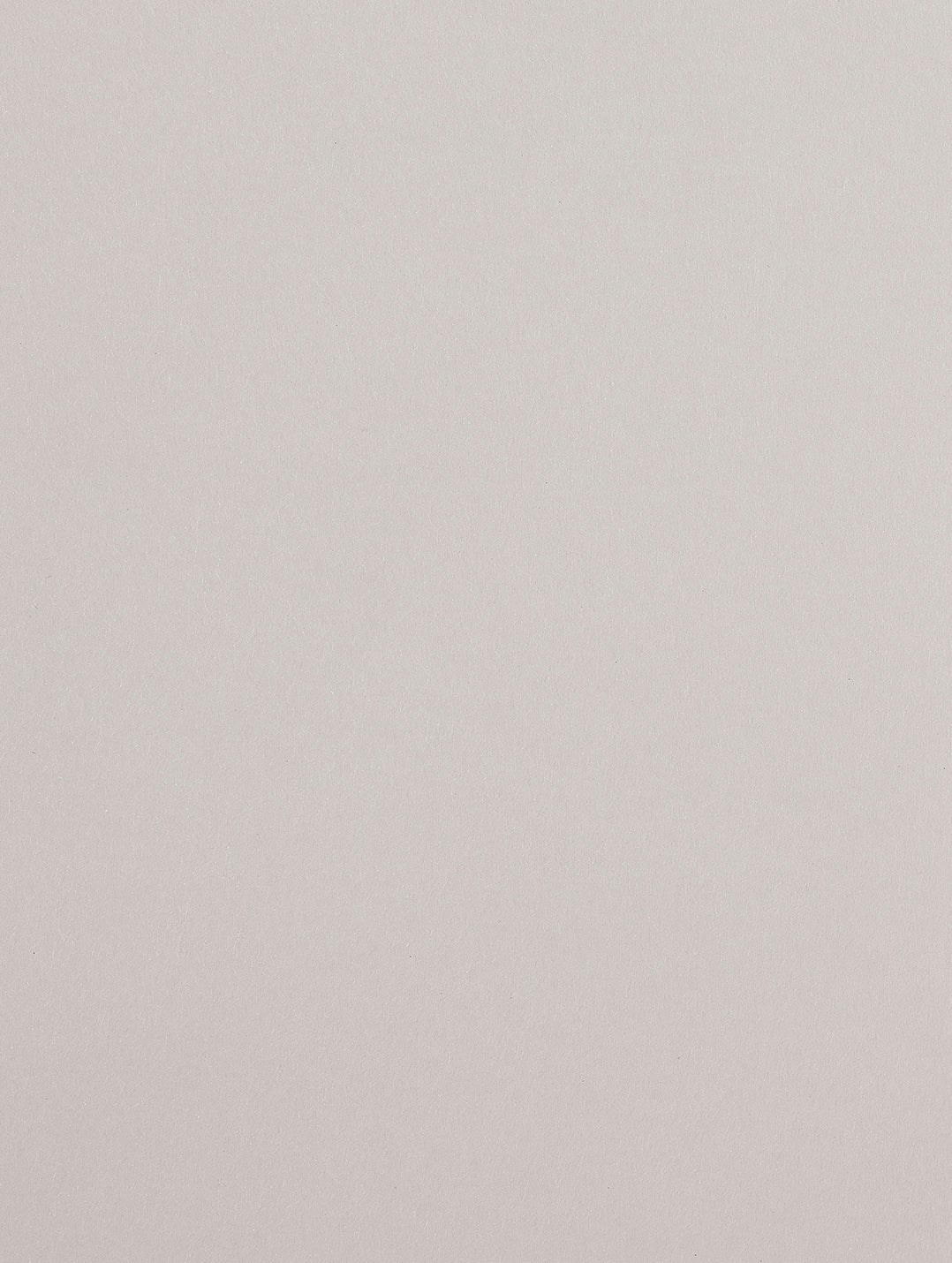 Pale Grey Cardstock