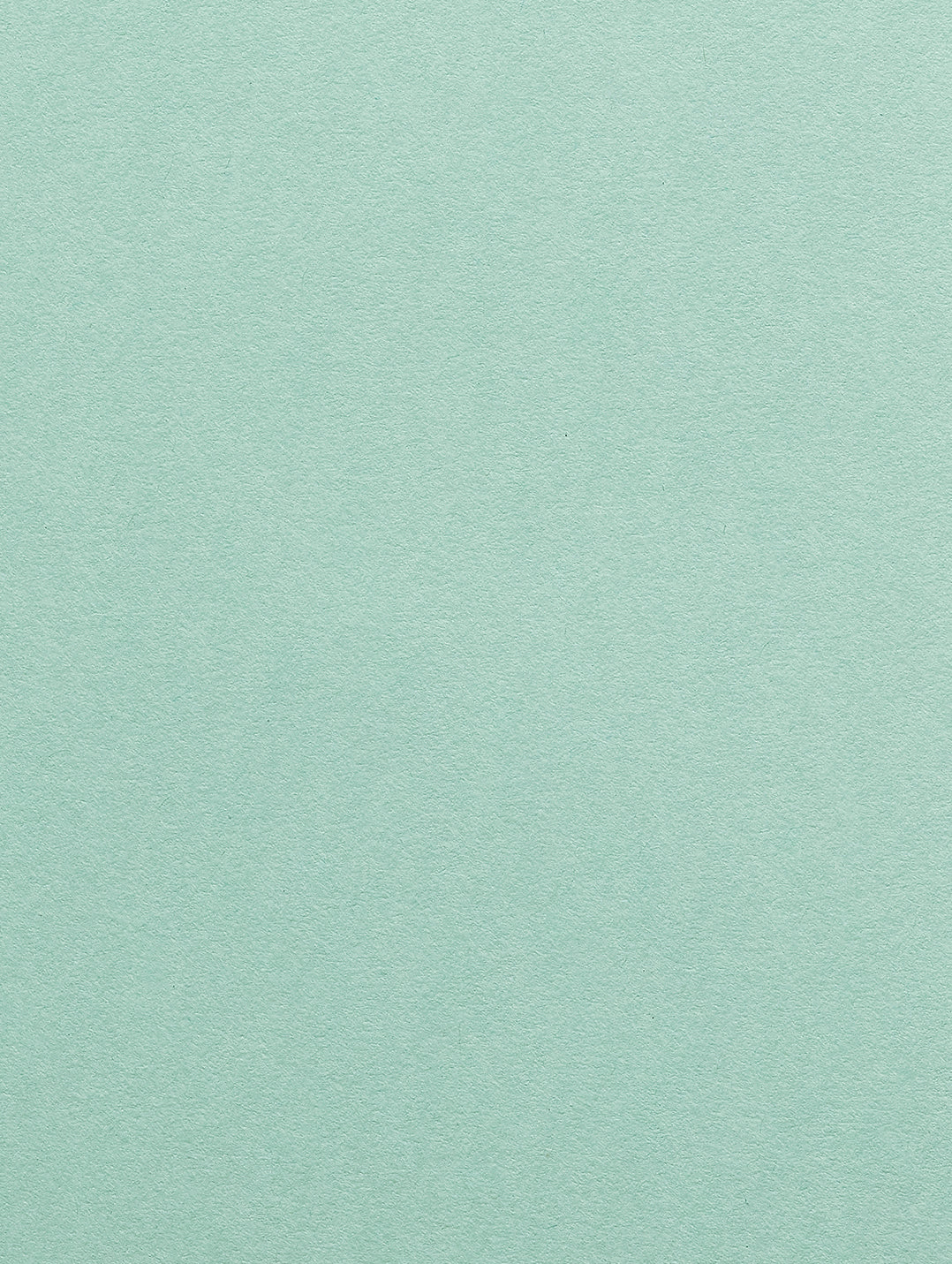 Park Green Cardstock