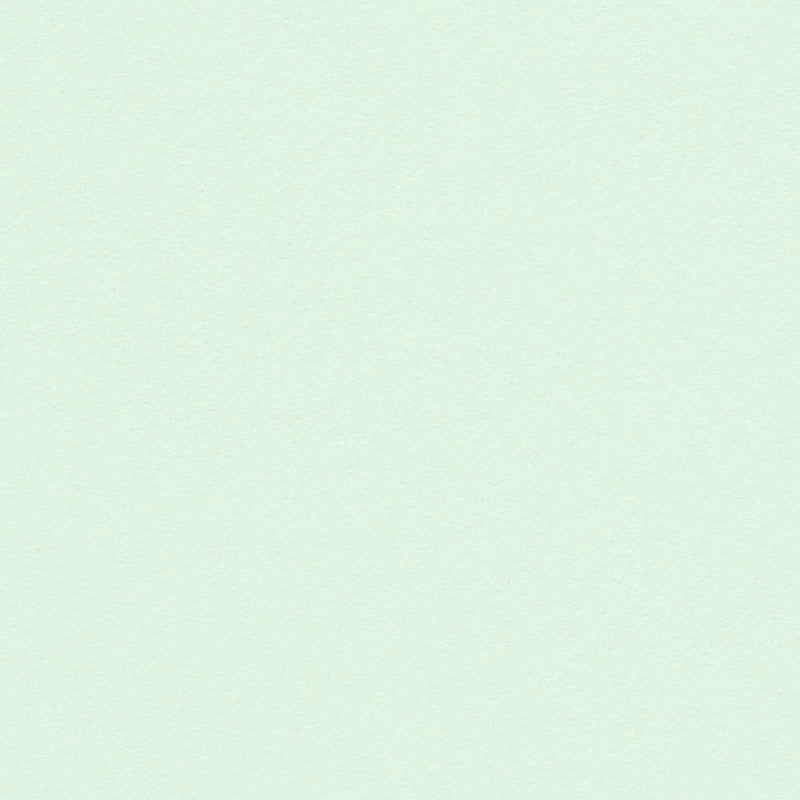 Pastel Green Cardstock