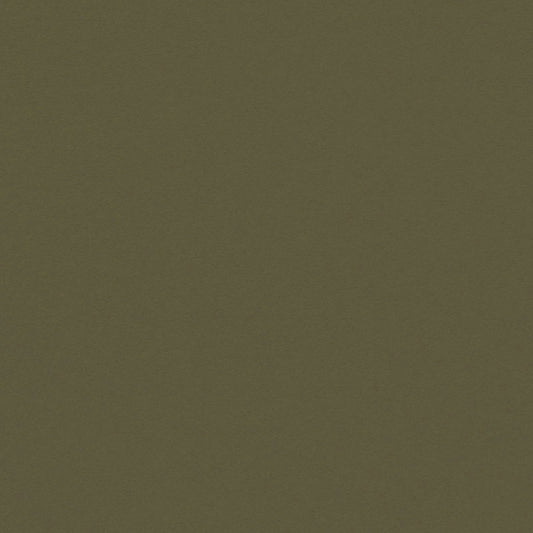 Sequoia Cardstock
