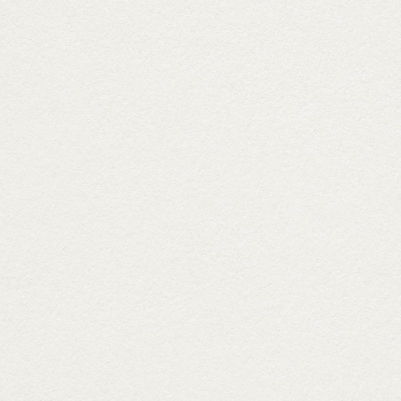 Snow White Cardstock
