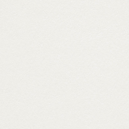 Snow White Cardstock