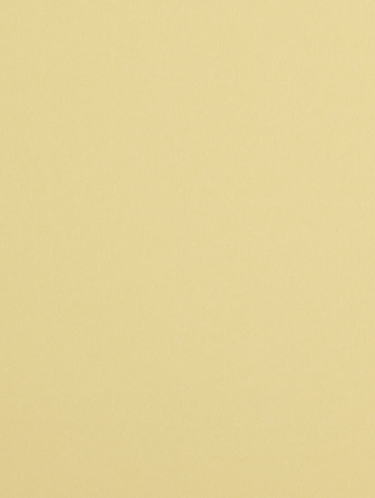 Sorbet Yellow Cardstock