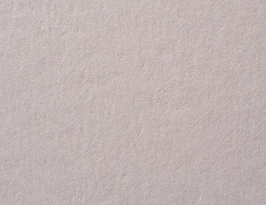 Timberwolf Gray Cardstock