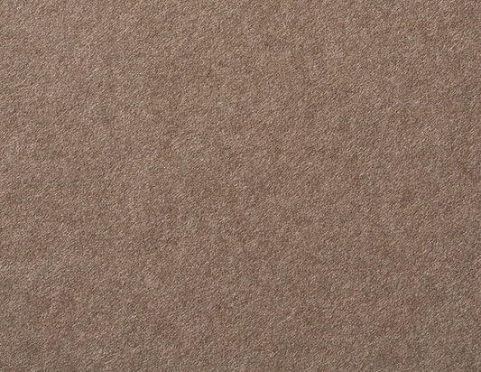 Walnut Cardstock