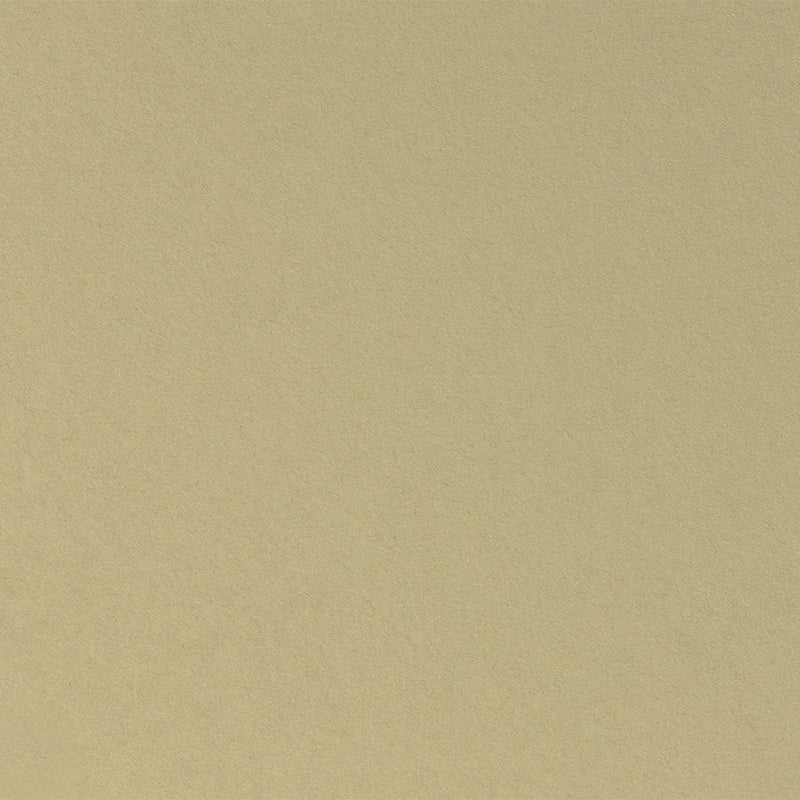 Shimmer Champagne Cardstock