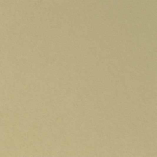 Shimmer Champagne Cardstock