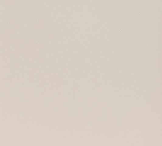 Shimmer Coral Cardstock