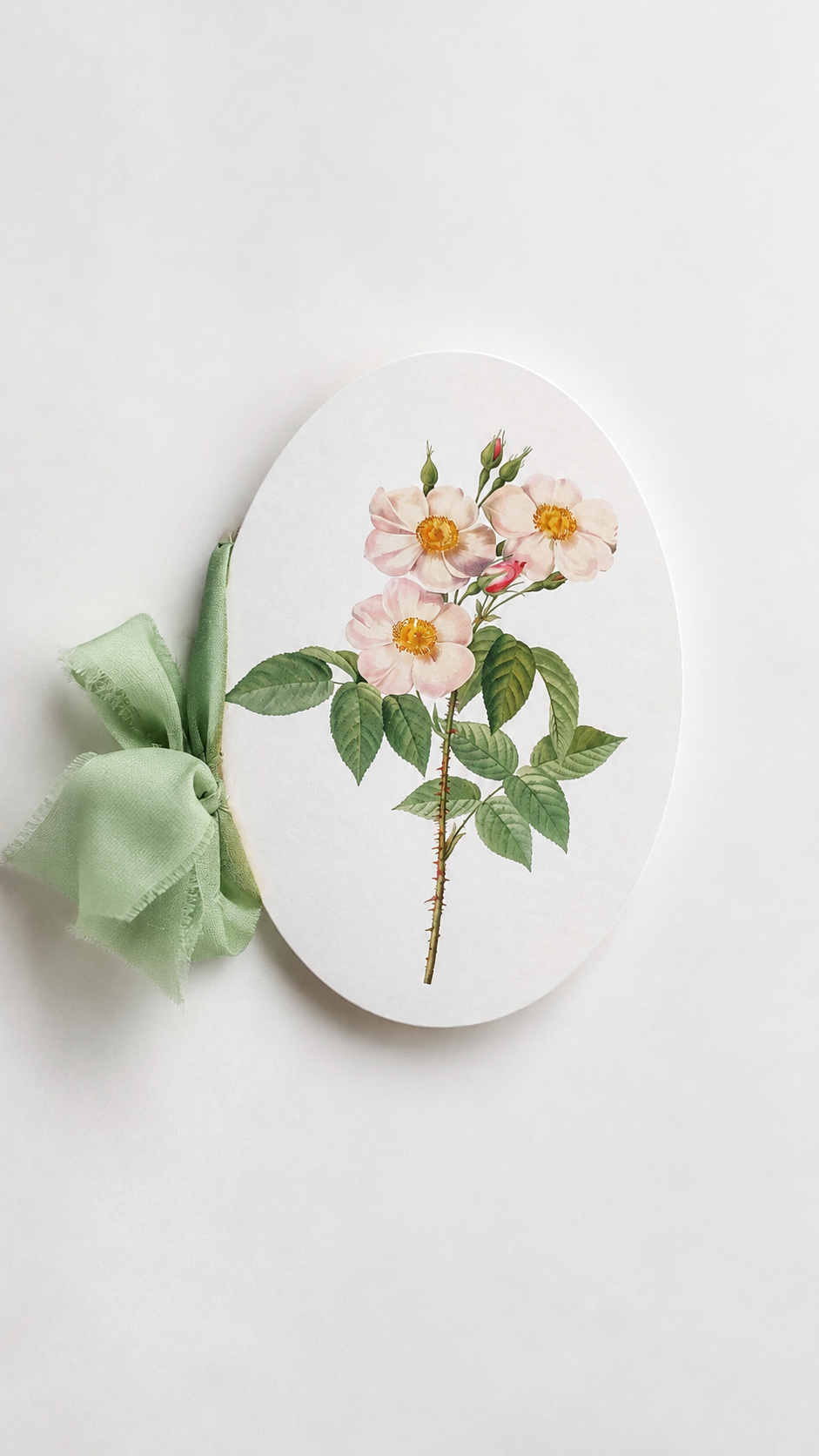 DIY Bi-Fold Oval Wedding Program | Print-and-cut PNG Template - Giada Collection